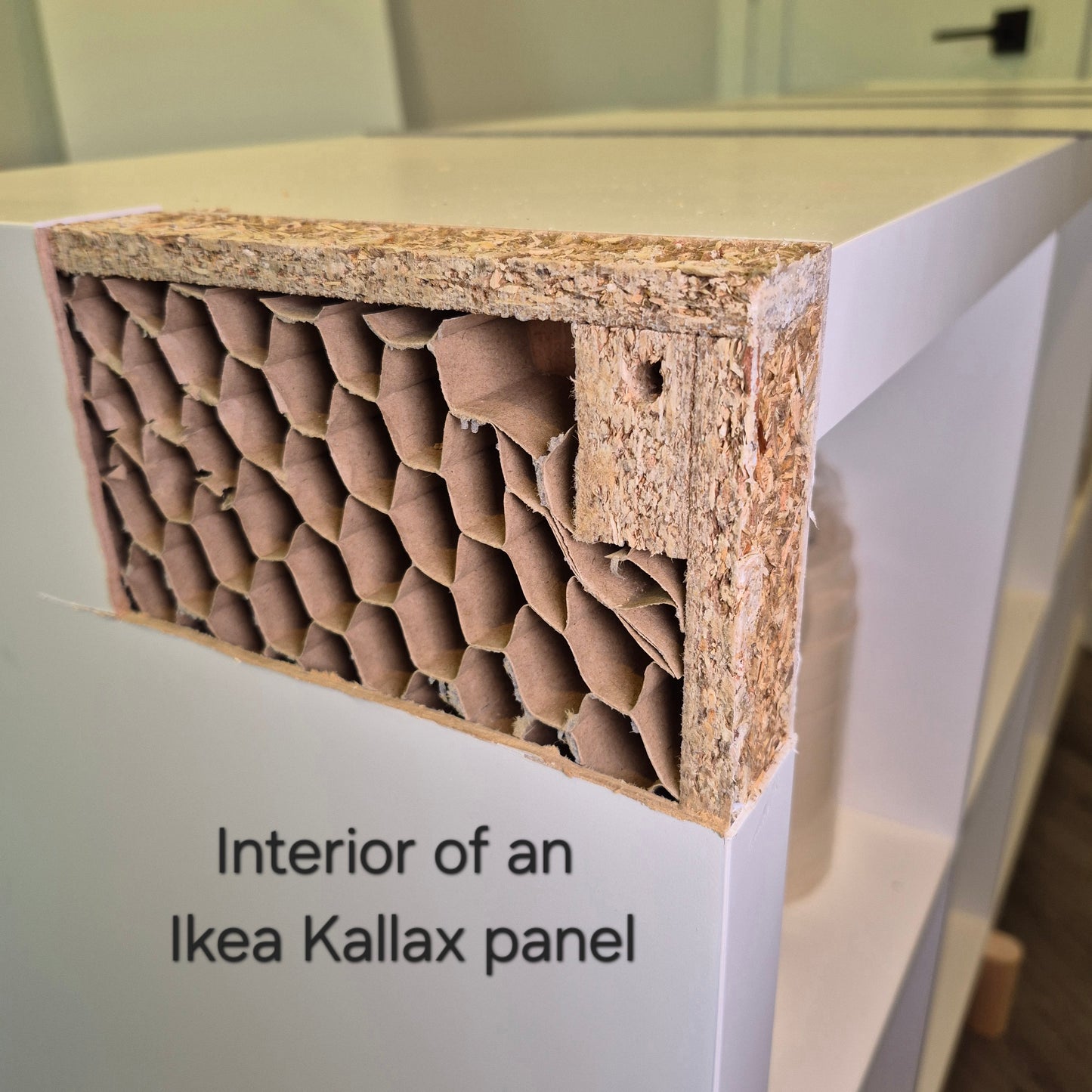 The inside of an Ikea Kallax panel. The picture show what the panel is made of and where to find solid wood.